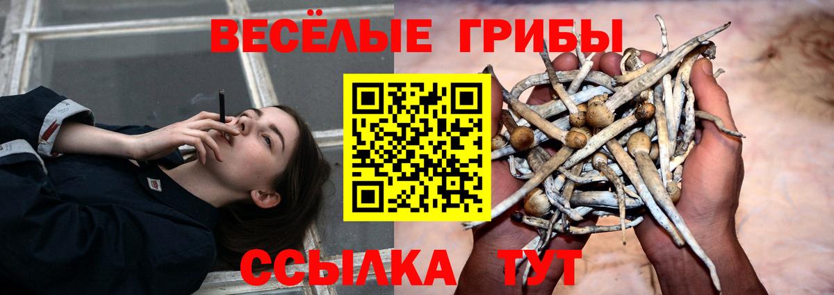 хочу наркоту  Псилоцибиновые грибы мухоморы  Вход с VPN  Улан-Удэ 